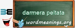 WordMeaning blackboard for darmera peltata